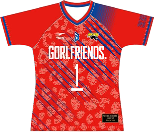 チケット一覧｜SV-V.LEAGUE